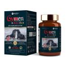 gymen active gold 1 P6727 130x130px
