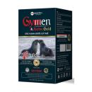 gymen active gold 2 I3181 130x130px