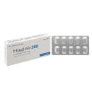 haginir 300 mg 1 S7477 130x130