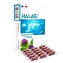 halagi 2 V8661 130x130px