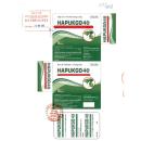 hapukgo 40 1 K4161 130x130px