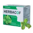 herbacof mint flavour 2 L4117 130x130px