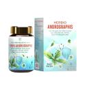 herbio andrographis 1 G2366 130x130px