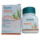 himalaya shatavari womens wellness 17 F2086 130x130px