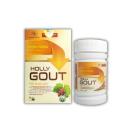 holly gout minhchien pharma 4 S7713 130x130px