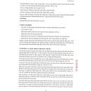 ibilium 2mg 4 D1313 130x130px