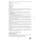 indorec 100mg 6 T7313 130x130px