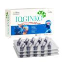 iqginko 1 V8785 130x130px