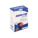 joints cap ginic 5 I3866 130x130px