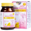 kenkan seishun primrose 7 B0865 130x130px