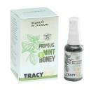 keo ong tracybee propolis mint honey 30ml 7 N5126 130x130px