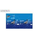 ketotop plaster 30mg 3 D1122 130x130px