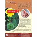 kim thinh platinum 9 R7661 130x130px