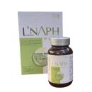 l naph plus 2 U8365 130x130px