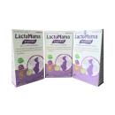 lactomama premium 3 I3304 130x130px