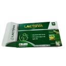 lactova 4 N5322 130x130px