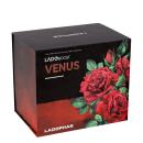 ladoboost venus 4 J3717 130x130px