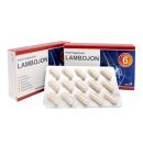 lambojon 2 O5362 130x130px