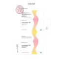 lawanee 20mg 2 V8533 130x130px