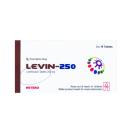 levin 250 1 R7060 130x130px