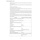 levozap 5 A0404 130x130px