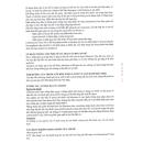 lidonostrum gele 5 R7572 130x130px