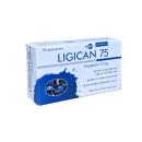ligican 75 1 B0024 130x130px