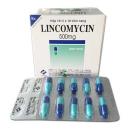 lincomycin 500mg vidipha 1 H2731 130x130px