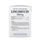 lincomycin 500mg vidipha 25 P6311 130x130px