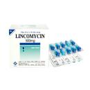 lincomycin 500mg vidipha 4 N5074 130x130px