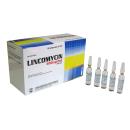 lincomycin 600mg 2ml dopharma 1 K4744 130x130px
