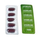 liverplant 3 M4626 130x130px