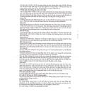 lopraxer 6 R7537 130x130px