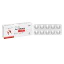 lovastatin tv pharm 20mg 2 H3472 130x130px