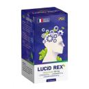 lucid rex 5 J3328 130x130px