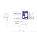 maldiv tab 100mg 5 E1280 130x130px