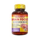 mediusa brain focus 5 F2132 130x130px