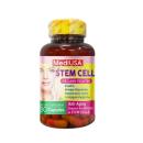 mediusa stem cell 5 L4762 130x130px