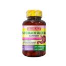 mediusa stomach ulcer support 5 S7331 130x130px