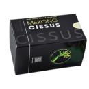 mekong cissus 2 K4103 130x130px