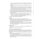 mexlocap 20 4 O6415 130x130px