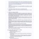 miticyst 400mg 6 I3375 130x130px