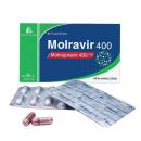 molravir 400 0 T8626 130x130