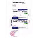 montegol 4 4 T7458 130x130px