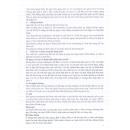 morcet 10mg 5 L4007 130x130px