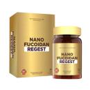 nano fucoidan regest 2 E1544 130x130px