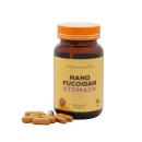 nano fucoidan stomach 4 K4532 130x130px