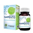 napento 1 L4465 130x130px