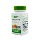 natures way fenugreek seed 2 D1546 130x130px