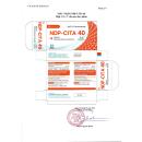 ndp cita 40 2 E1654 130x130px